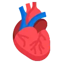 Cardiology Icon