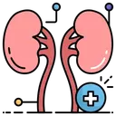 Kidney Transplant