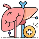 Liver Transplant