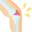 Orthopedic Icon
