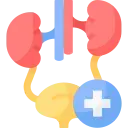 Urology