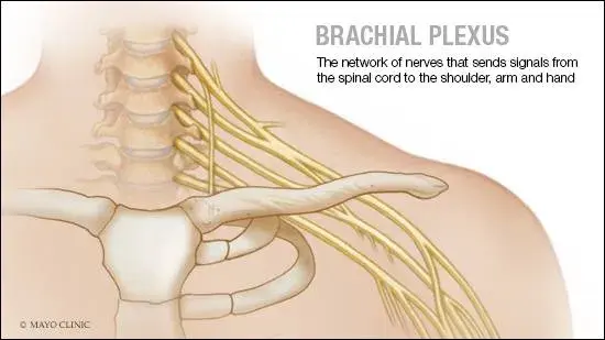treatment-Image