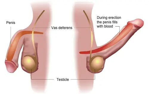 treatment-Image