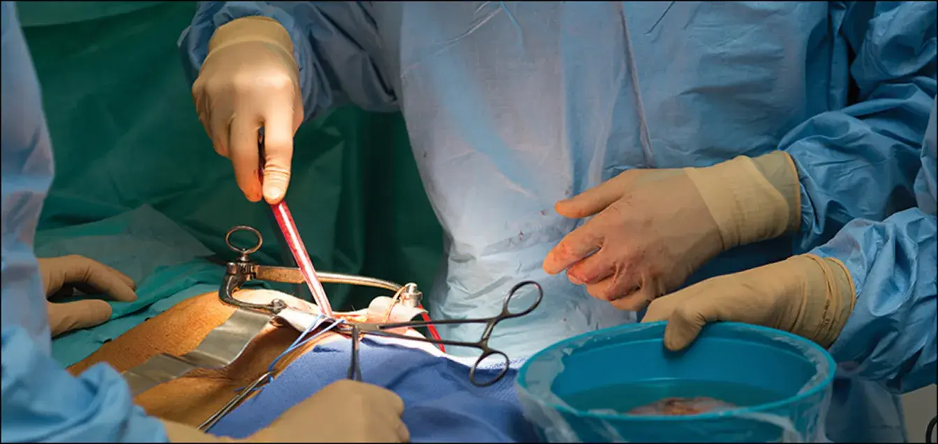 treatment-Image