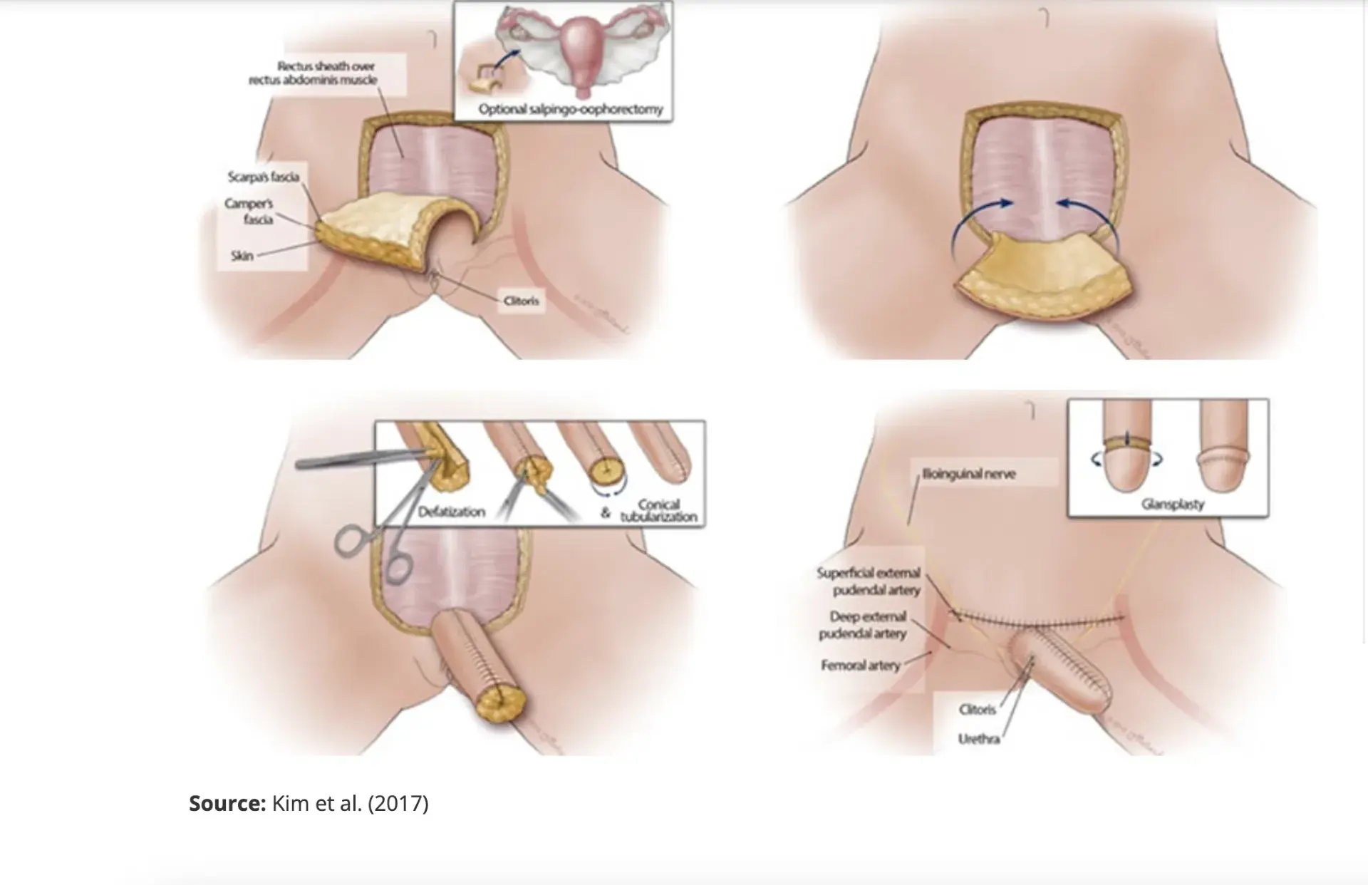 treatment-Image