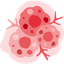 Oncology Icon Medihelpglobal