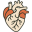 Cardiology Icon Medihelpglobal