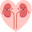 kidney Transplant Icon Medihelpglobal