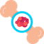 Bone Marrow Icon Medihelpglobal